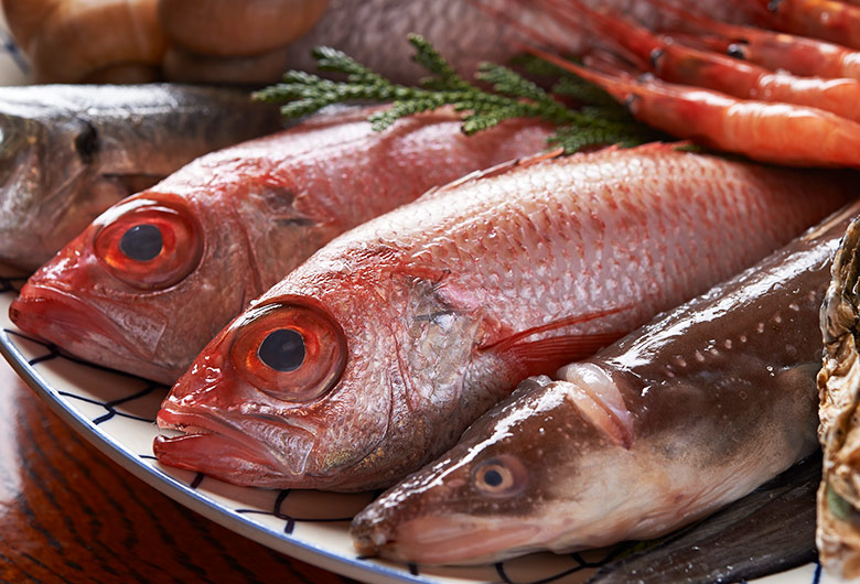 魚屋の矜持を寿司に宿す